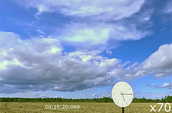ФЕНИКС 3M